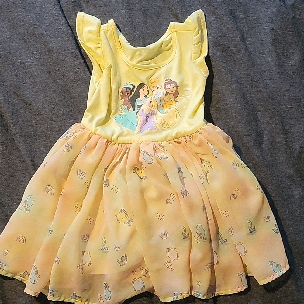Disney princess dress